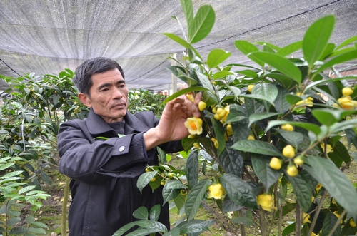 Vĩnh Phúc chú trọng phát triển khoa học công nghệ