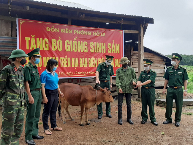 Bộ đội Biên phòng Kon Tum giúp dân phát triển kinh tế vững mạnh