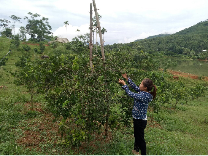 Tấm gương vươn lên của phụ nữ dân tộc Mường