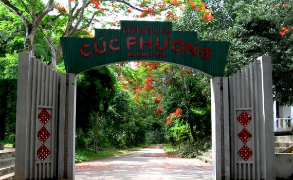 60 năm Vườn quốc gia Cúc Phương - Khu rừng nhiệt đới hàng đầu thế giới