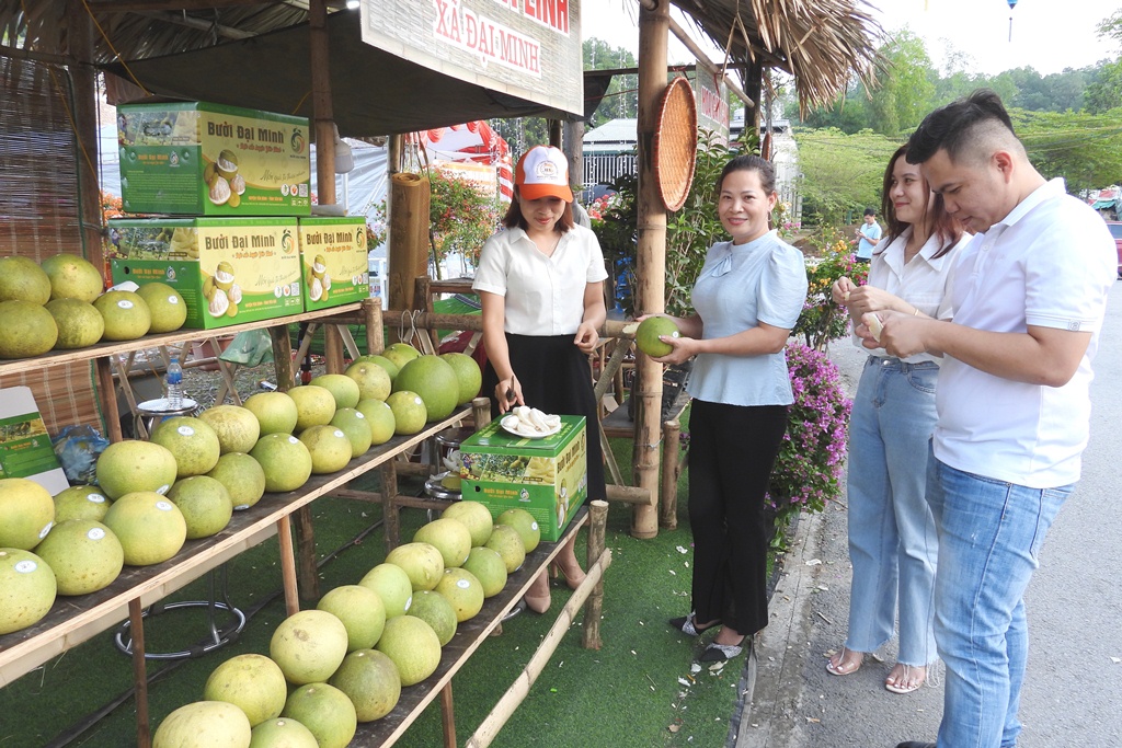 Thứ trái cây đặc sản “đuổi nghèo” ở Yên Bình