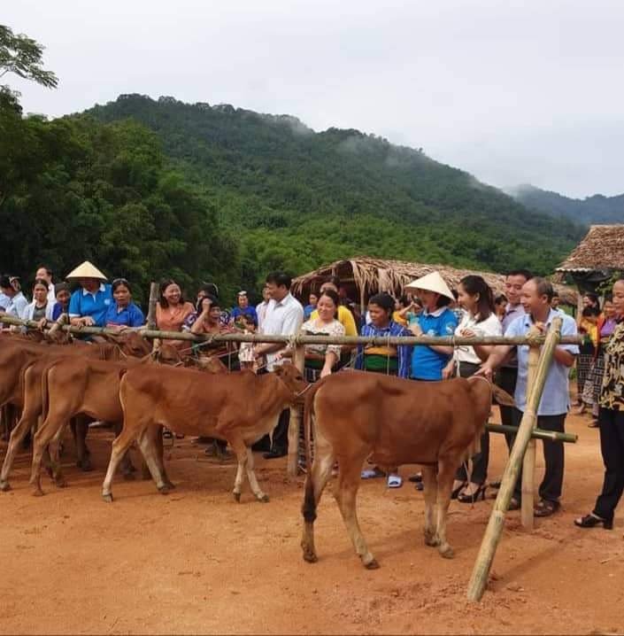 Hiệu quả từ mô hình “Tổ hợp tác chăn nuôi bò sinh sản” ở xã Mường Chanh