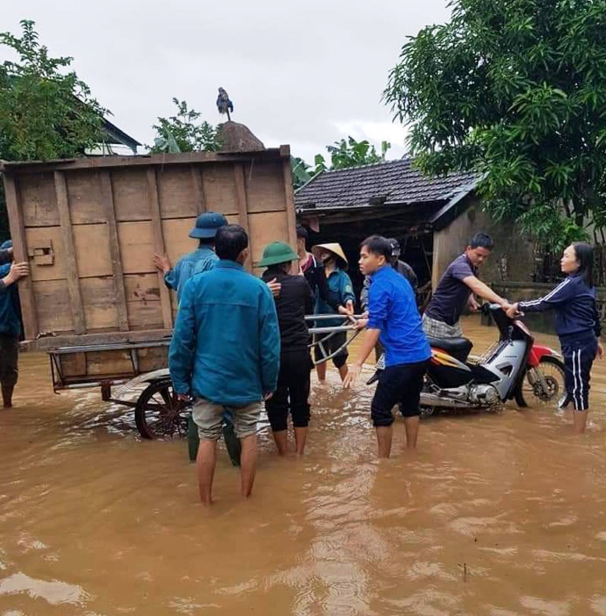 Chủ động ứng phó với mưa lớn, rét đậm, rét hại