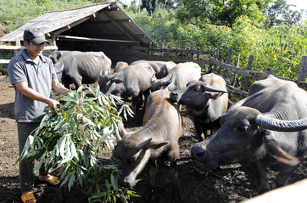Bình Định Gian nan hành trình giảm nghèo bền vững
