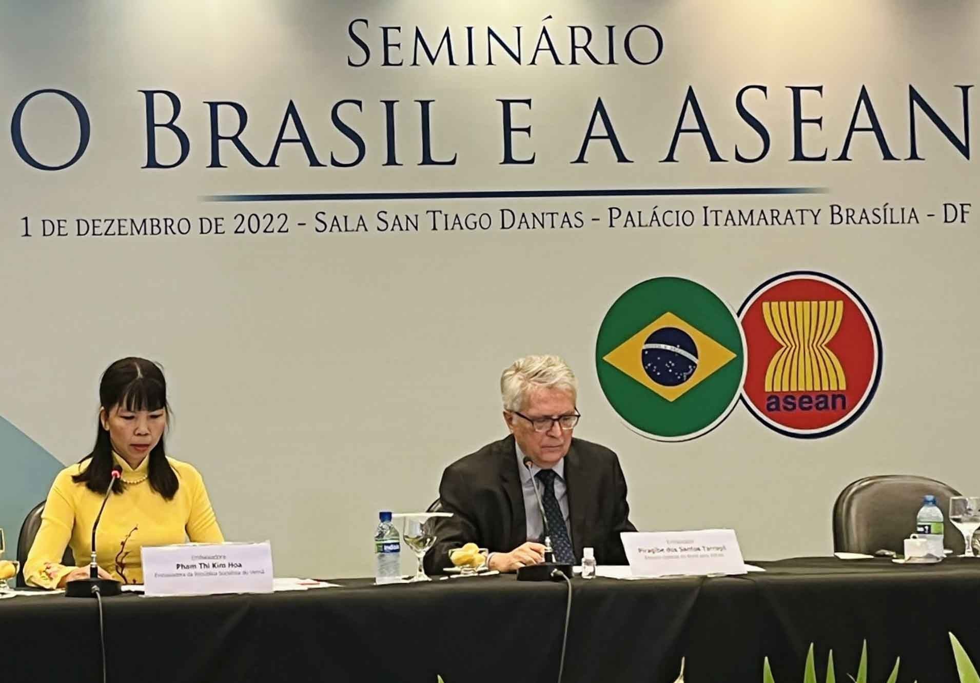 Brazil là đối tác lớn và quan trọng của Việt Nam ở Nam Mỹ