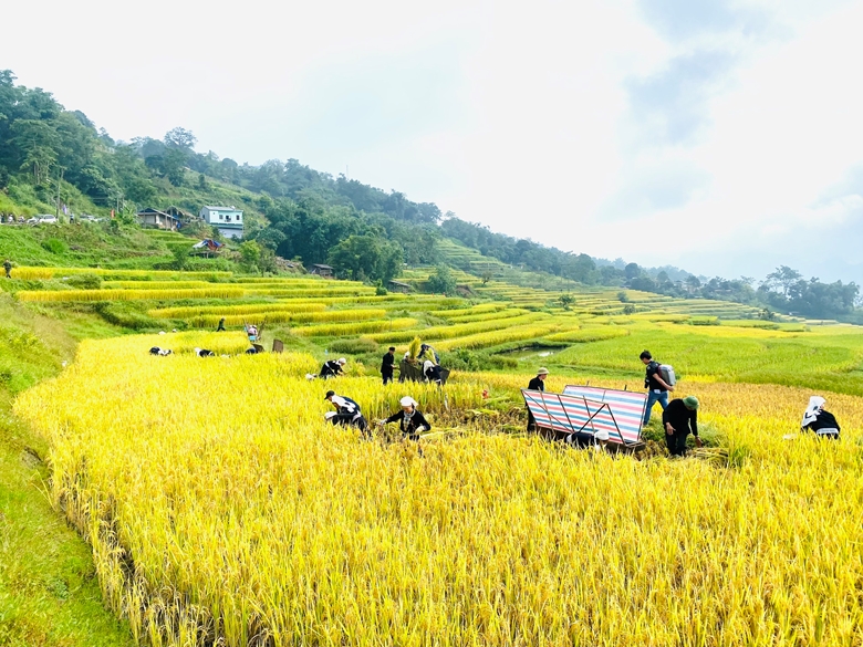 Các dự án của Chương trình MTQG phát triển KT-XH vùng đồng bào DTTS MN