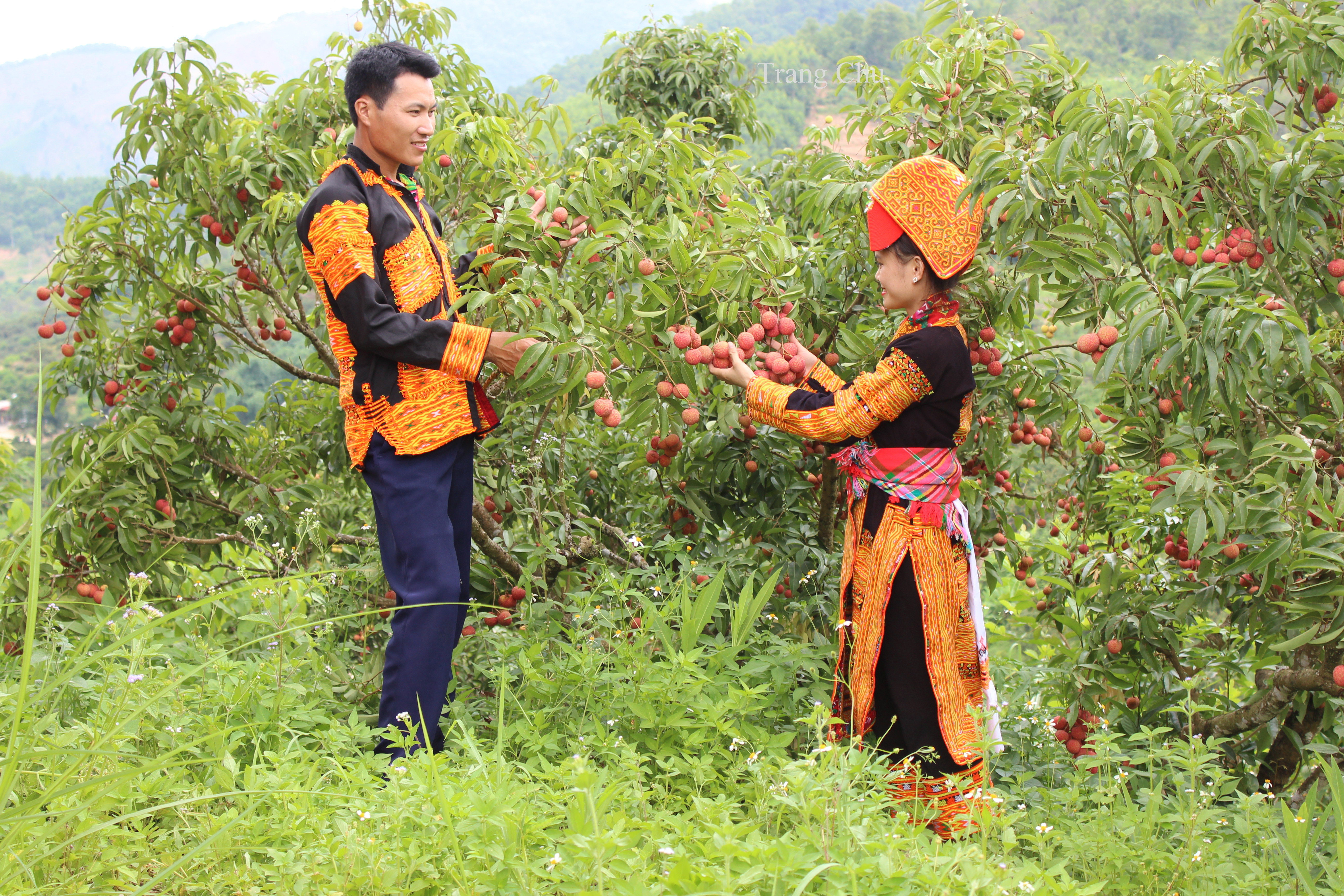 Bắc Giang Thúc đẩy bình đẳng giới trong đồng bào dân tộc thiểu số