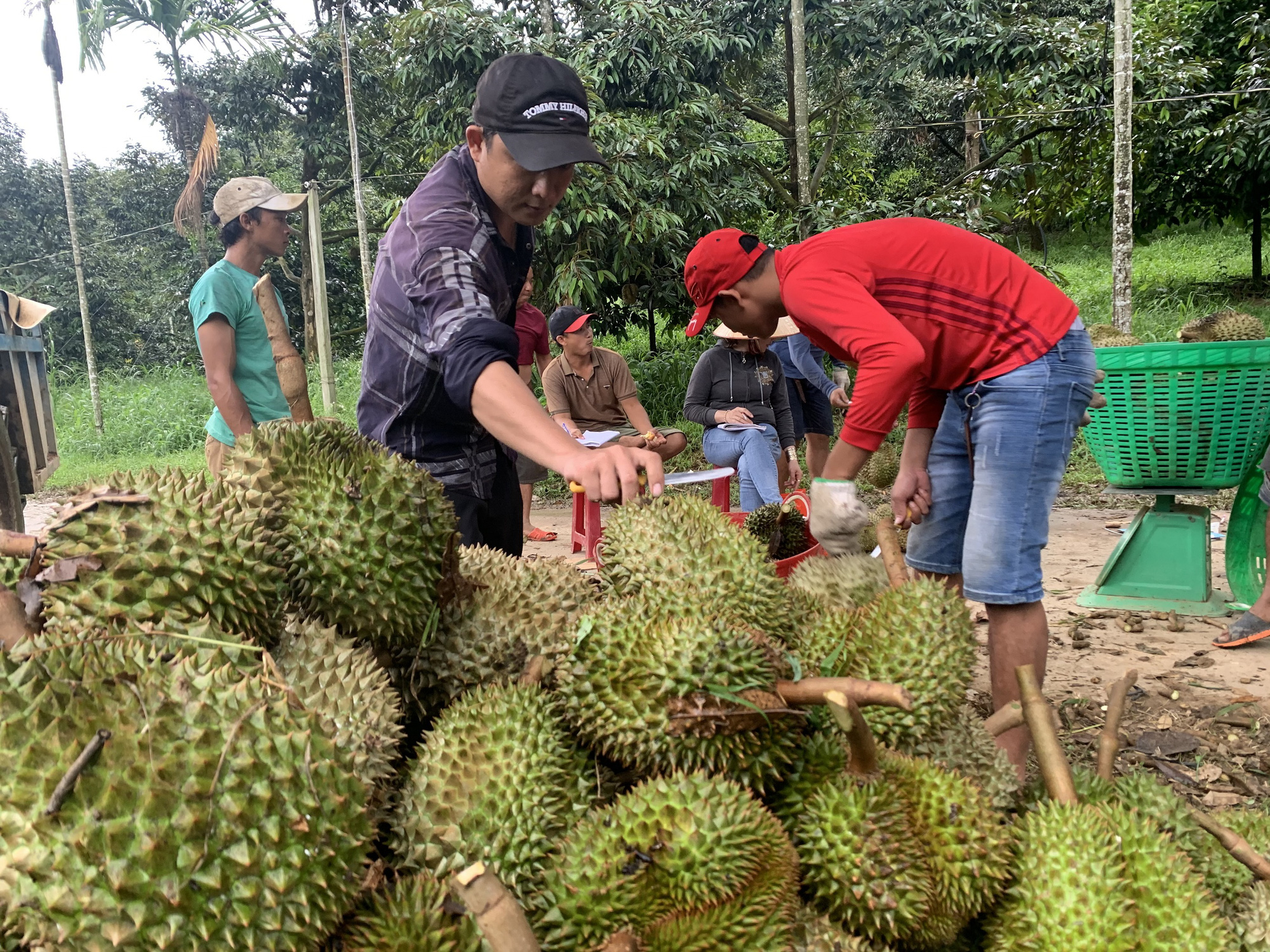 Khánh Vĩnh - Khánh Sơn Nỗ lực thoát nghèo