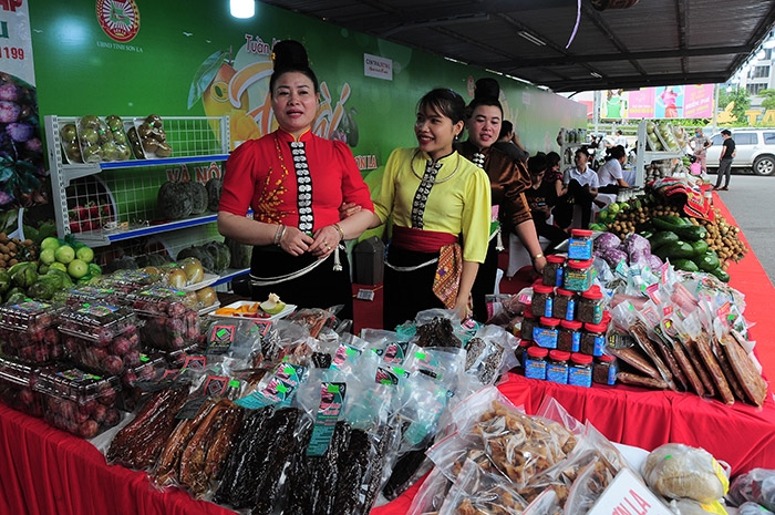 Hỗ trợ xây dựng mô hình khởi nghiệp, khởi sự kinh doanh tại vùng DTTS MN