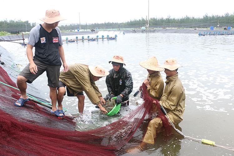 Công nghệ hiện đại giúp ngành thuỷ sản Việt Nam giải bài toán khó