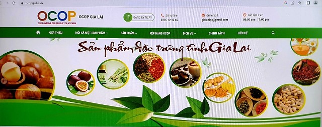Bài 3 Cơ hội nâng tầm sản phẩm OCOP của Gia Lai
