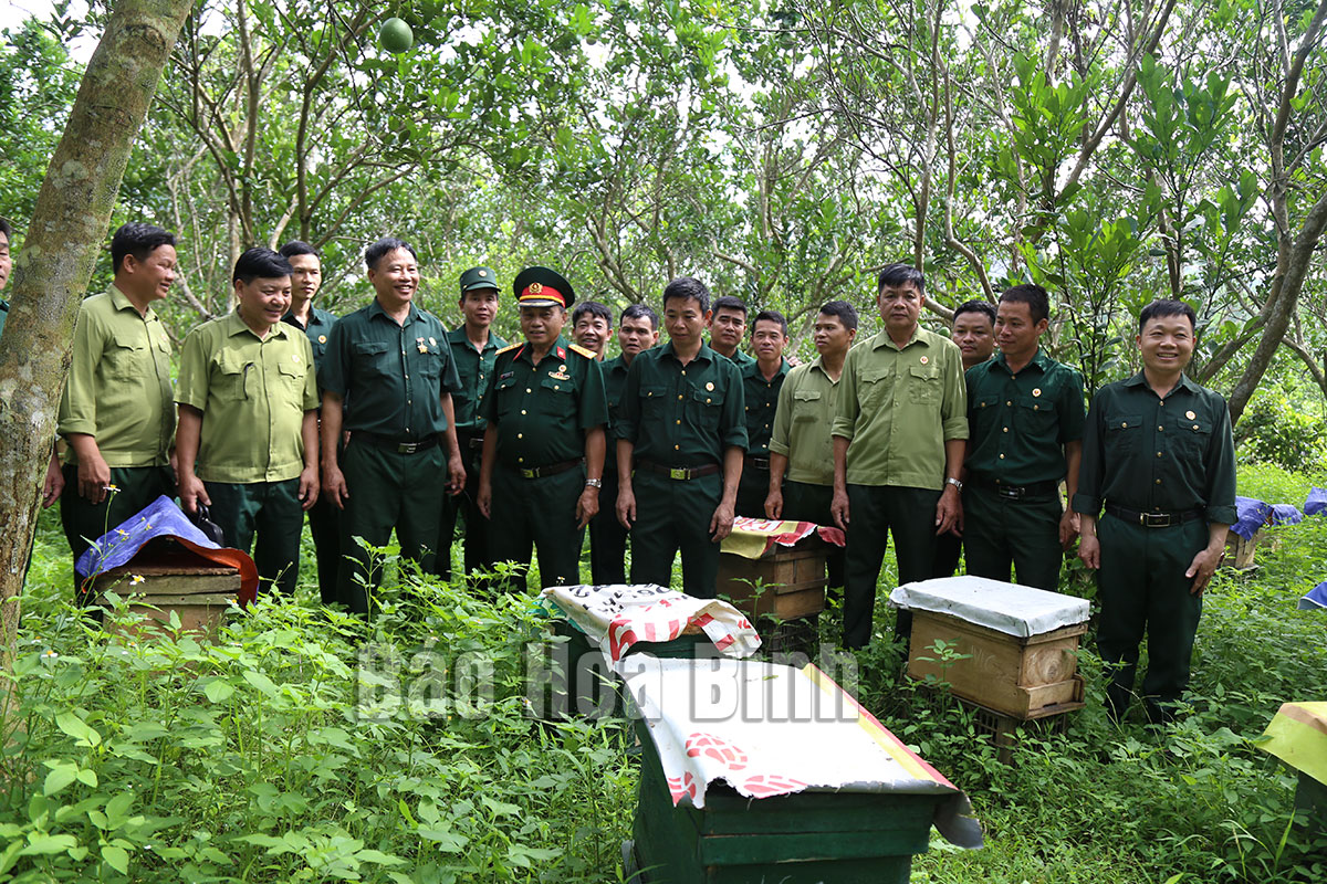 Cựu chiến binh Việt Nam thi đua giúp nhau làm kinh tế giỏi