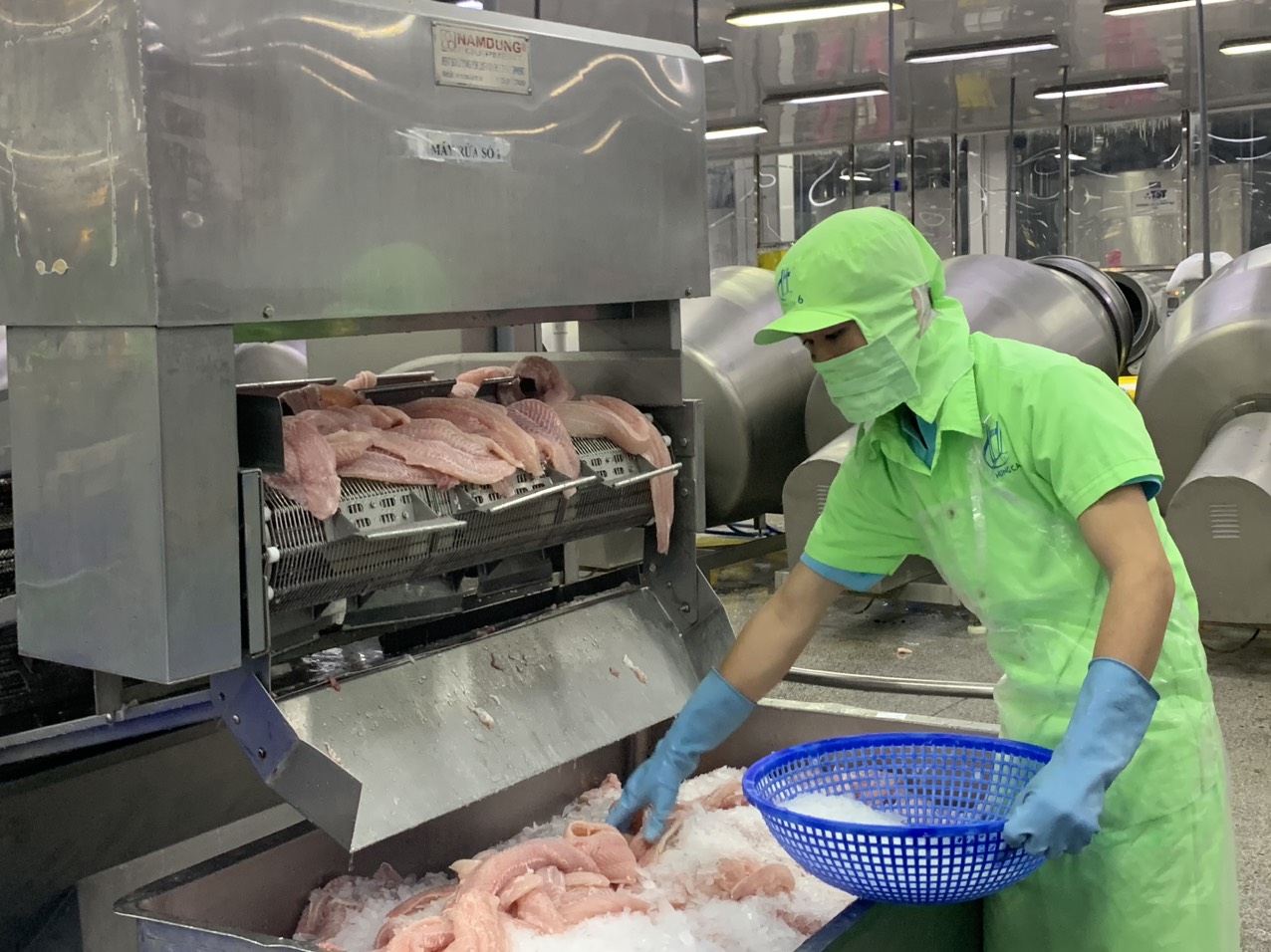 Triển khai giải pháp tăng trưởng ngành cá tra năm 2023