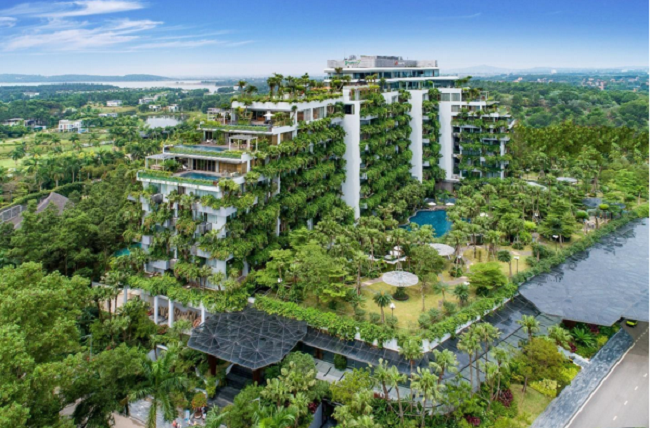 Flamingo và những niềm tự hào quốc tế