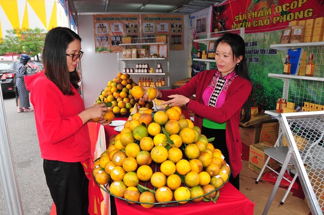Hòa Bình Đòn bẩy giúp vùng dân tộc thiểu số và miền núi phát triển bền vững