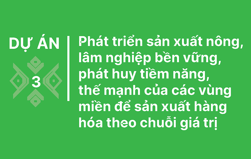 [Infographic] Phát triển sản xuất nông, lâm nghiệp, góp phần giảm nghèo bền vững vùng DTTS  MN