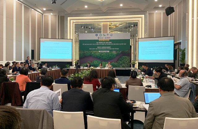 Xây dựng khung pháp lý để thúc đẩy thương mại các-bon trong lâm nghiệp