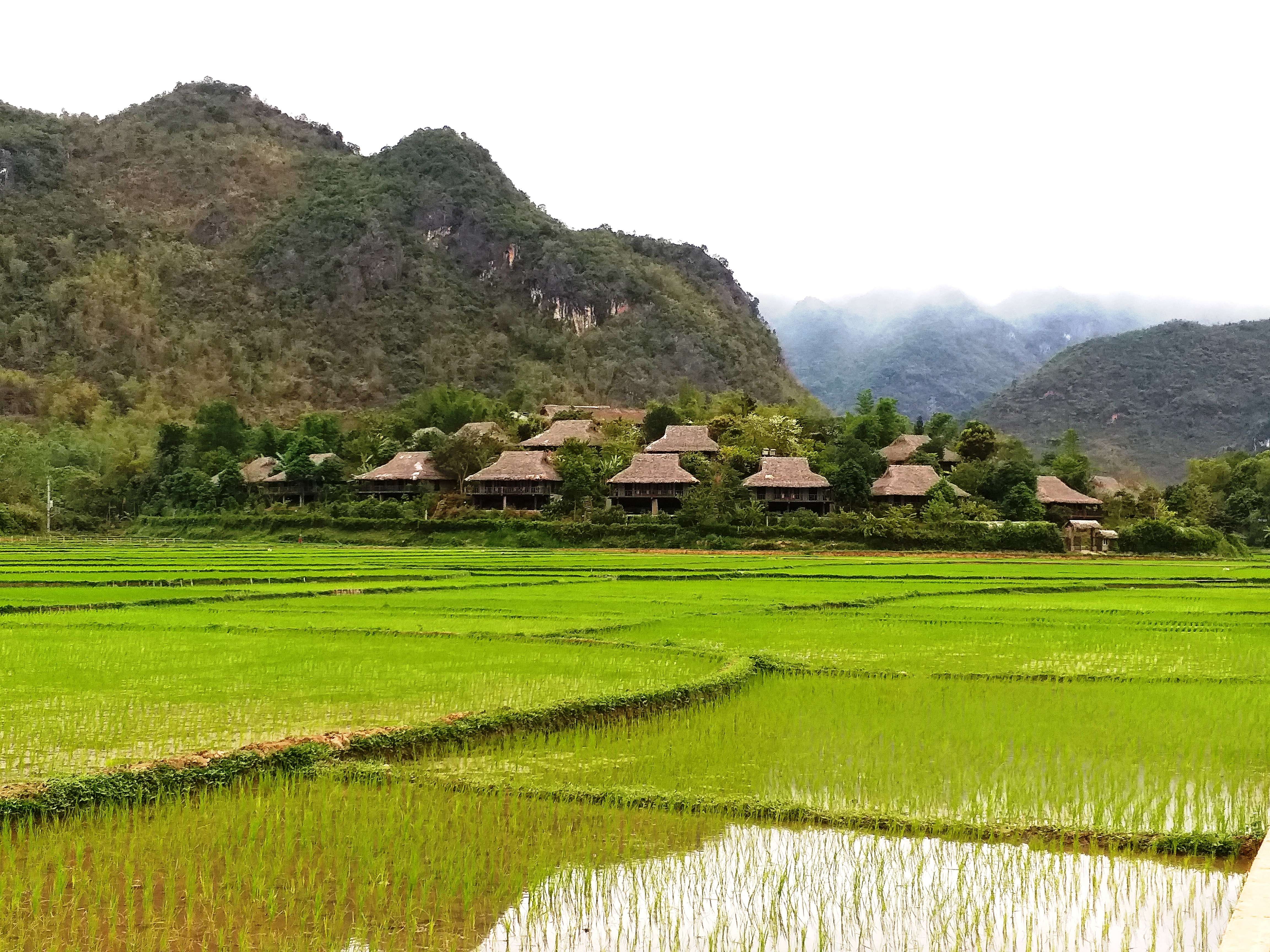 Sức hấp dẫn của du lịch Mai Châu