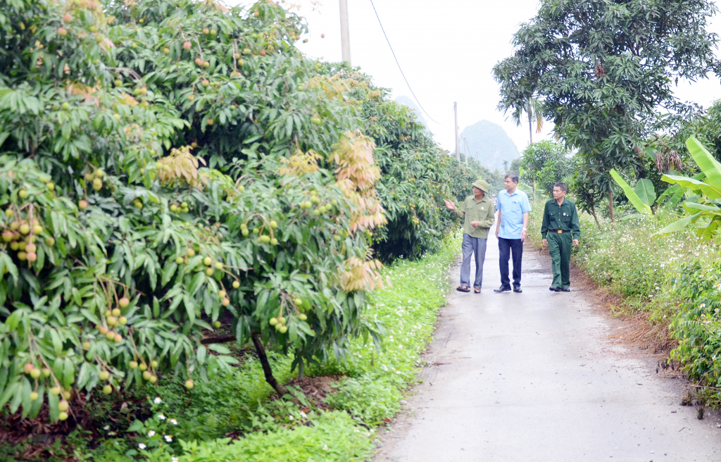 Hội CCB Quảng Ninh - Điểm sáng trong phong trào Cựu chiến binh gương mẫu