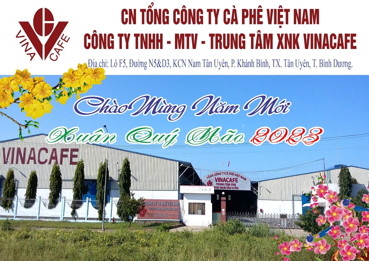 Chắp cánh cho cà phê Việt vươn ra thế giới