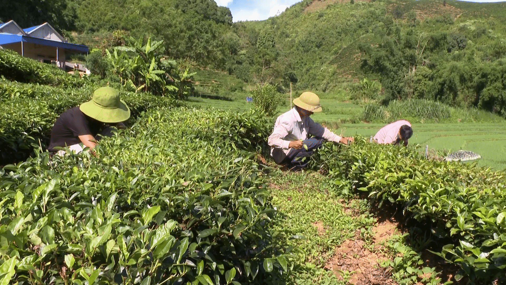 Tiếp tục quan tâm chế độ chính sách cho người có uy tín ở Tân Uyên