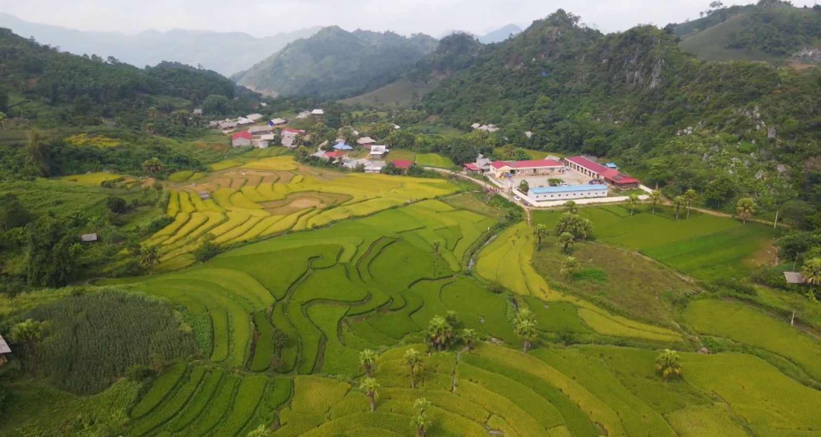 Thái Nguyên Đẩy mạnh truyền thông phát triển kinh tế - xã hội vùng đồng bào DTTS MN