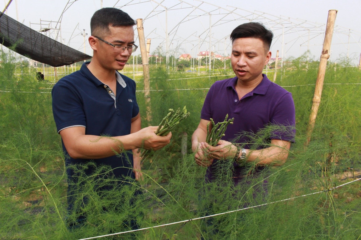 Những thanh niên làm giàu từ nghề nông