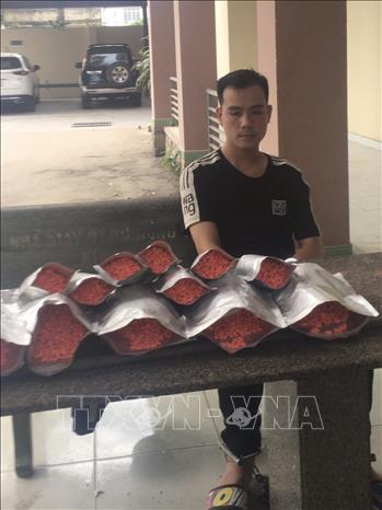 Triệt phá đường dây tàng trữ, mua bán, vận chuyển trái phép ma túy quy mô lớn