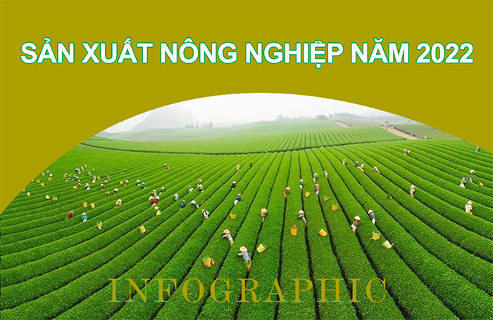 Infographic Kết quả sản xuất nông nghiệp năm 2022