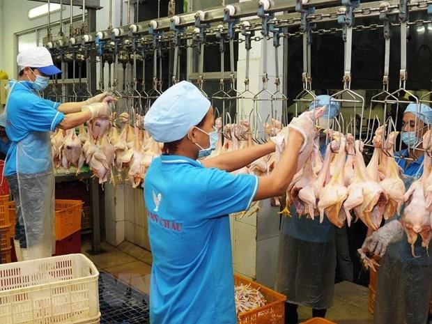 Hoàn thiện cơ chế để thu hút đầu tư cơ sở giết mổ, chế biến chăn nuôi
