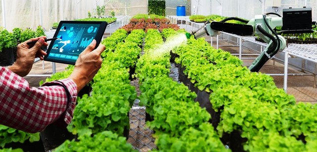 Tiếp tục khẳng định vai trò của kinh tế tập thể và hợp tác xã