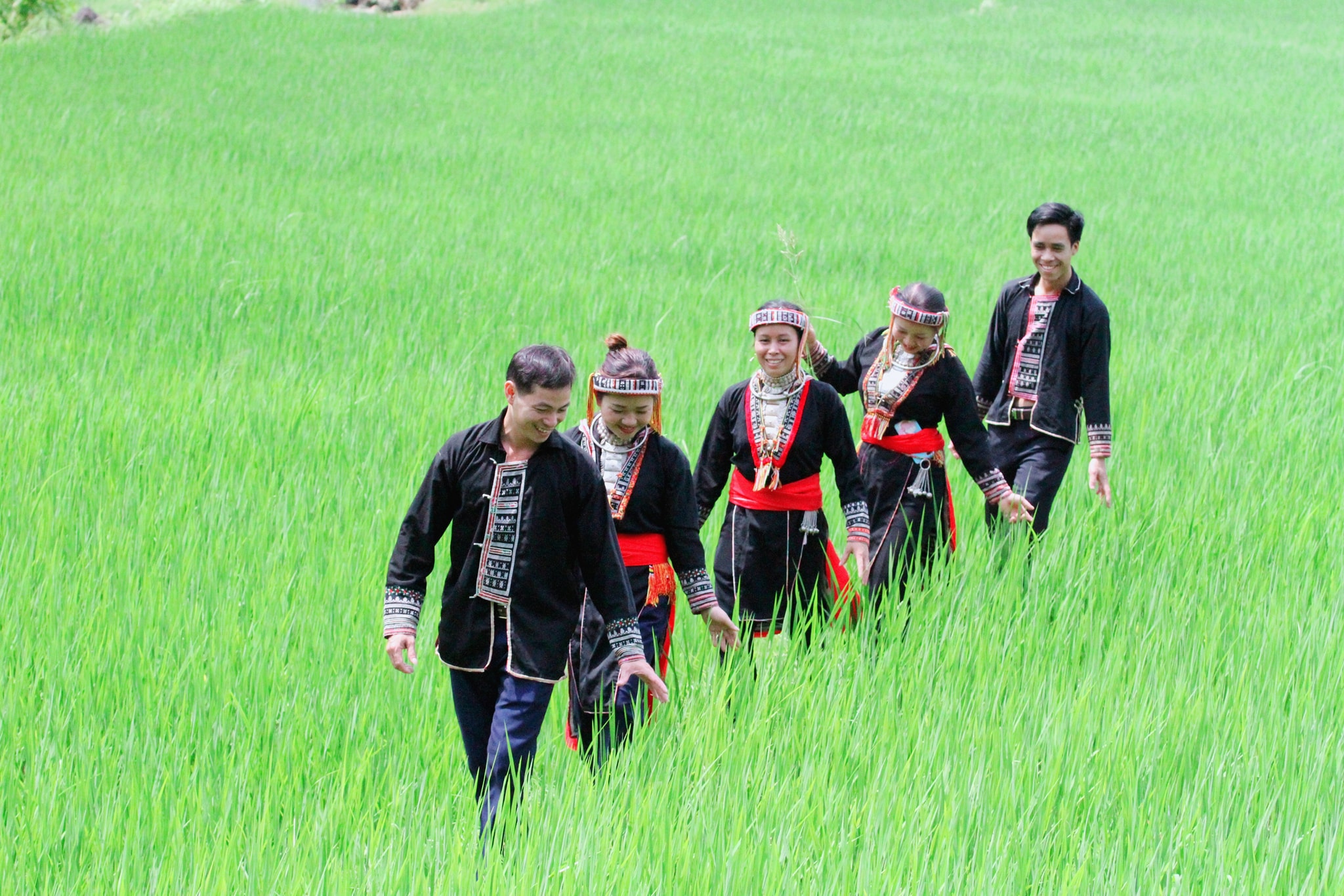 Bay xa hương nếp vùng cao