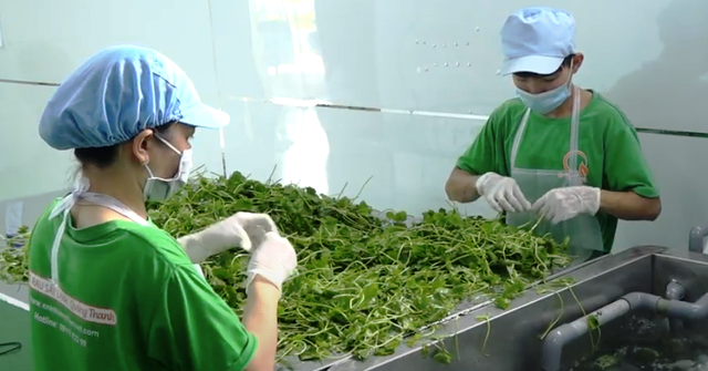 Tạo cơ hội phát triển kinh tế tập thể, hợp tác xã