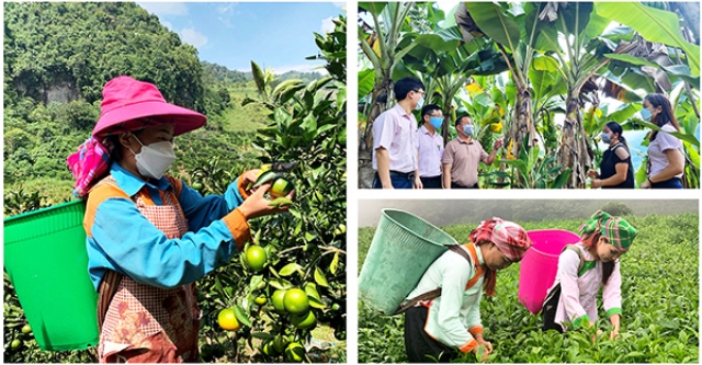 Hành trình hai thập kỷ đưa Việt Nam trở thành một hình mẫu về giảm nghèo trên thế giới