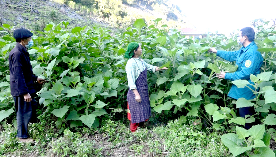 Hà Giang Đẩy nhanh quá trình giảm nghèo bền vững