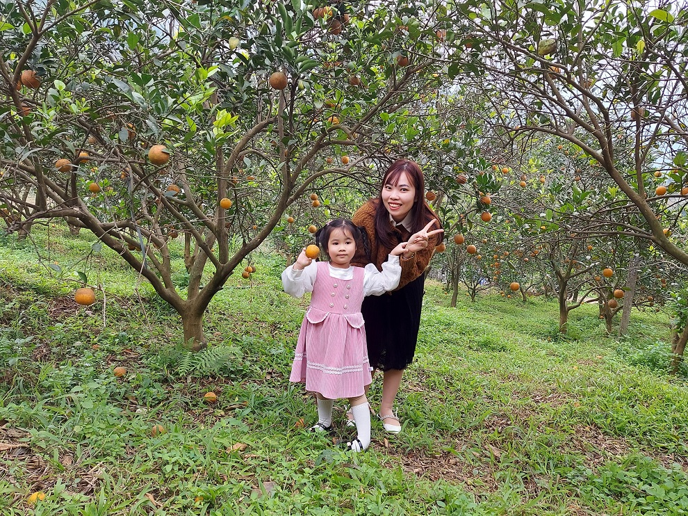 Triển vọng phát triển du lịch nông nghiệp
