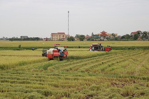 Hiệu quả của công tác Tuyên giáo ở Thái Thụy