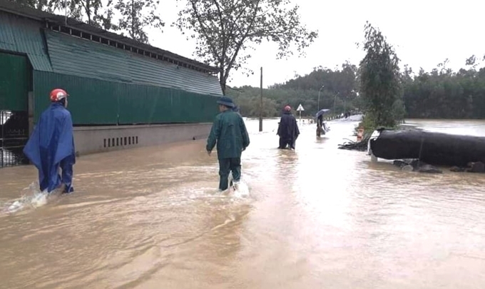 Theo dõi chặt chẽ thông tin dự báo, cảnh báo thiên tai