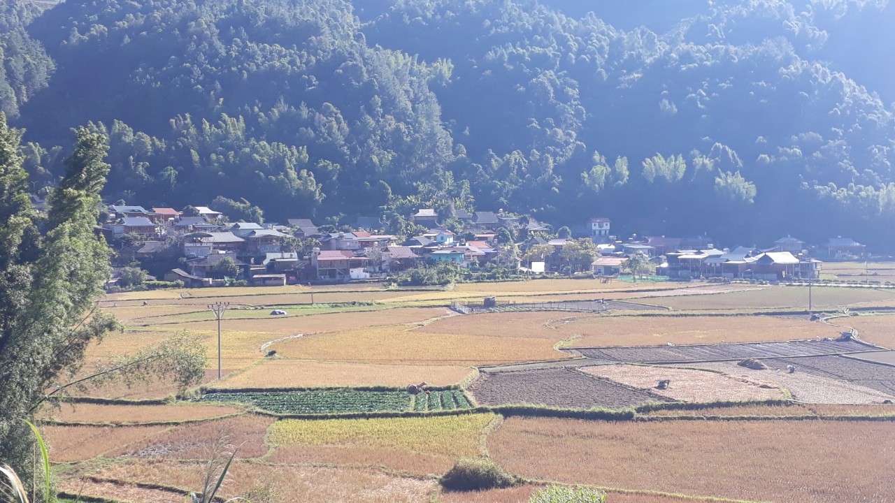 Vấn đề thu hồi đất liên quan đến nông lâm