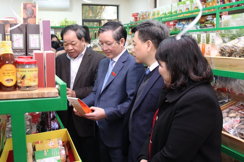 Khai trương điểm trưng bày - kết nối - hỗ trợ tiêu thụ nông sản