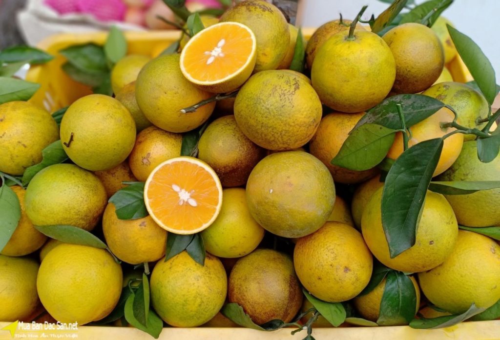 Xuất khẩu gần 7 tấn cam Cao Phong đầu tiên sang Anh