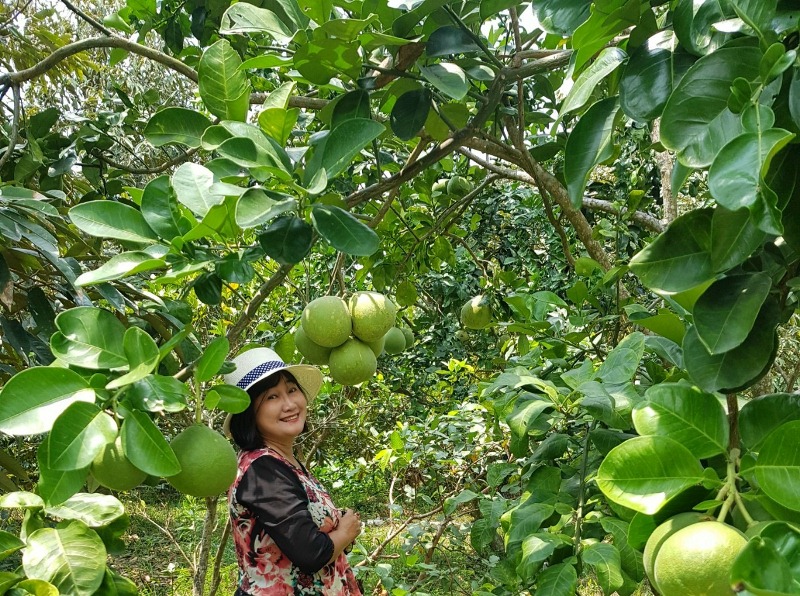 Nông nghiệp Đồng Nai thích ứng với biến đổi khí hậu và nhu cầu thị trường