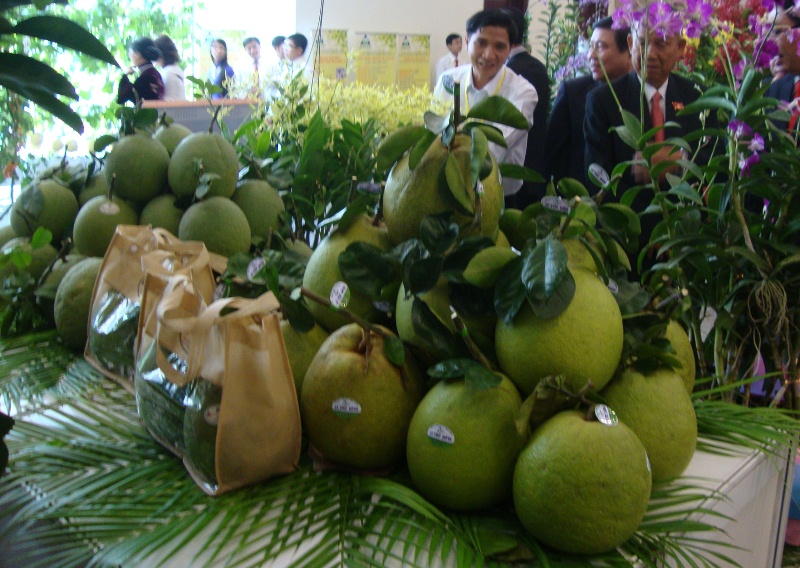 Thúc đẩy kinh tế tập thể ở Đồng bằng sông Cửu Long phát triển bền vững