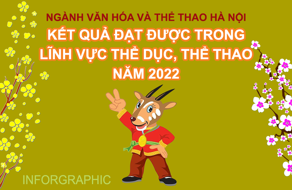 Infographic Những kết quả đạt được trong lĩnh vực thể dục, thể thao Hà Nội năm 2022