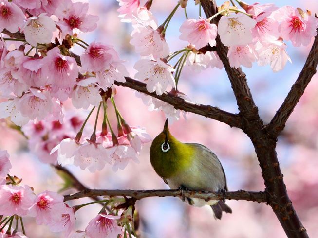 Gom lại tháng Giêng