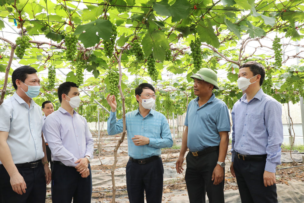 Tích cực hỗ trợ nông dân phát triển sản xuất, giảm nghèo bền vững