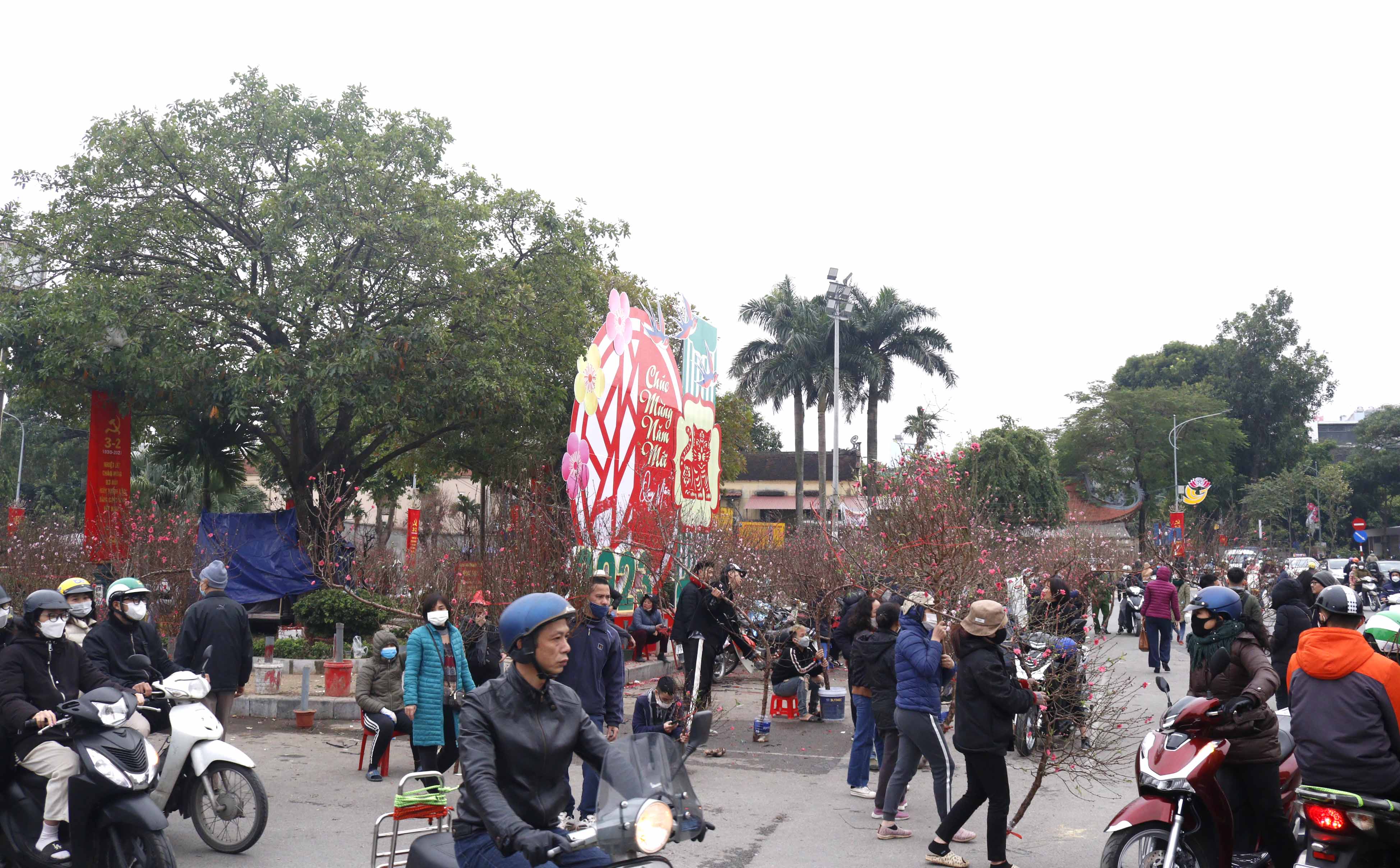 Rộn ràng nét Xuân chợ hoa Hà Nội