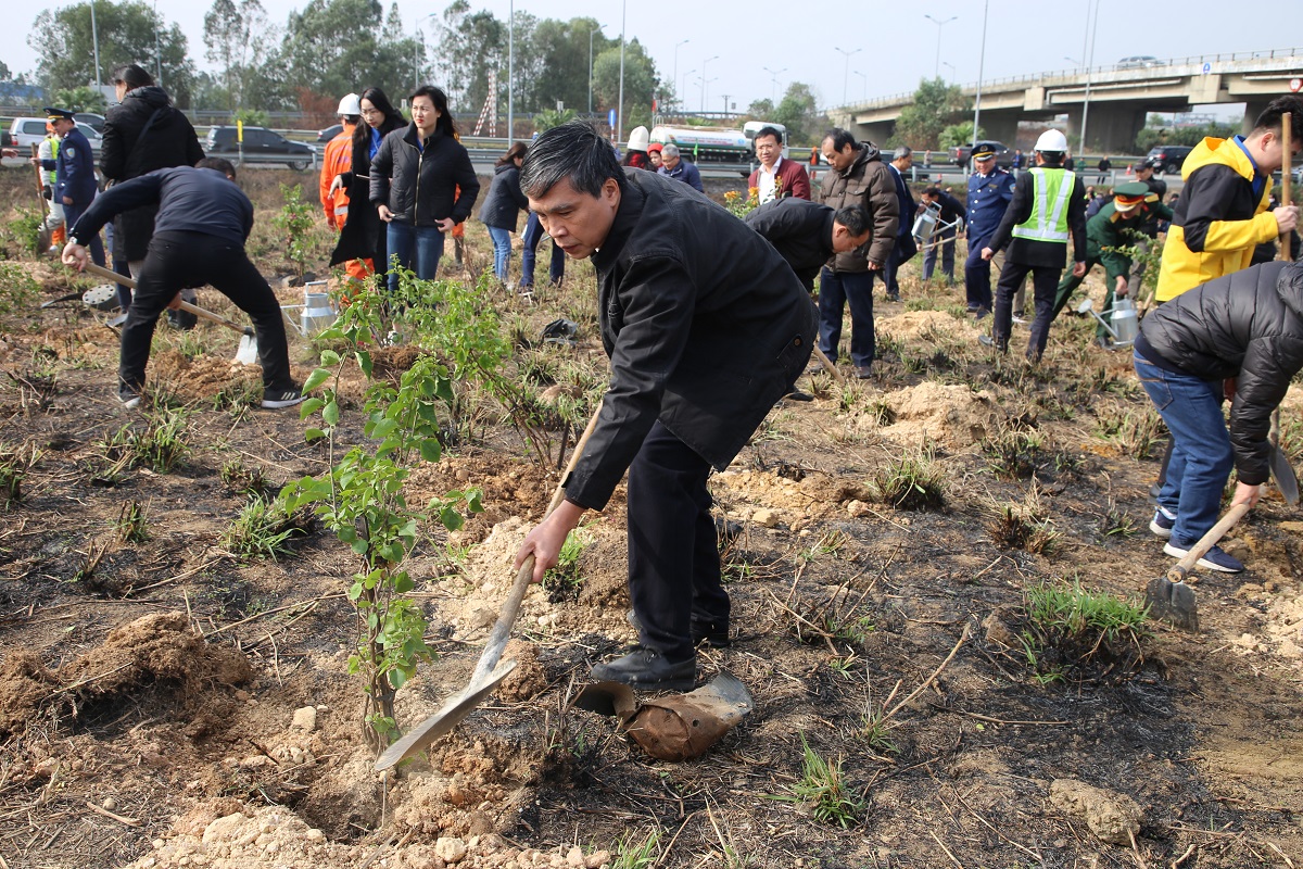 Tết trồng cây làm theo lời Bác nâng cao An toàn giao thông
