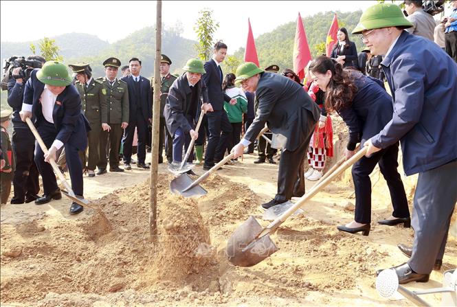 Chủ tịch Quốc hội Những người trồng rừng phải sống được bằng rừng và giàu lên từ rừng