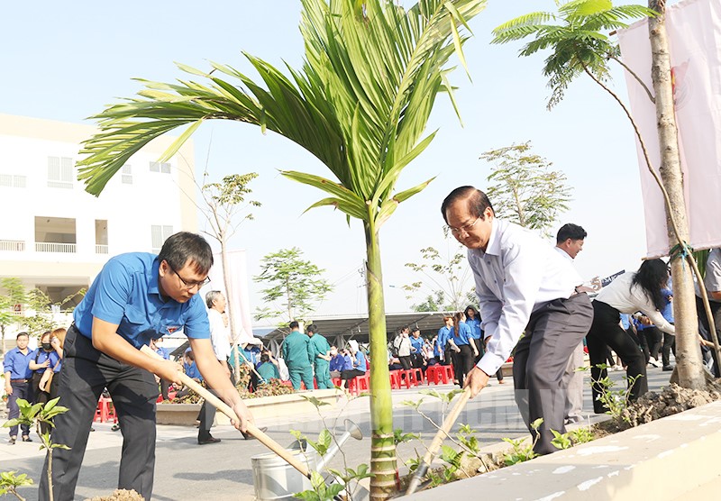 Nâng cao hiệu quả phong trào trồng, bảo vệ cây xanh